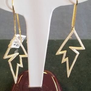 Ladies Earrings